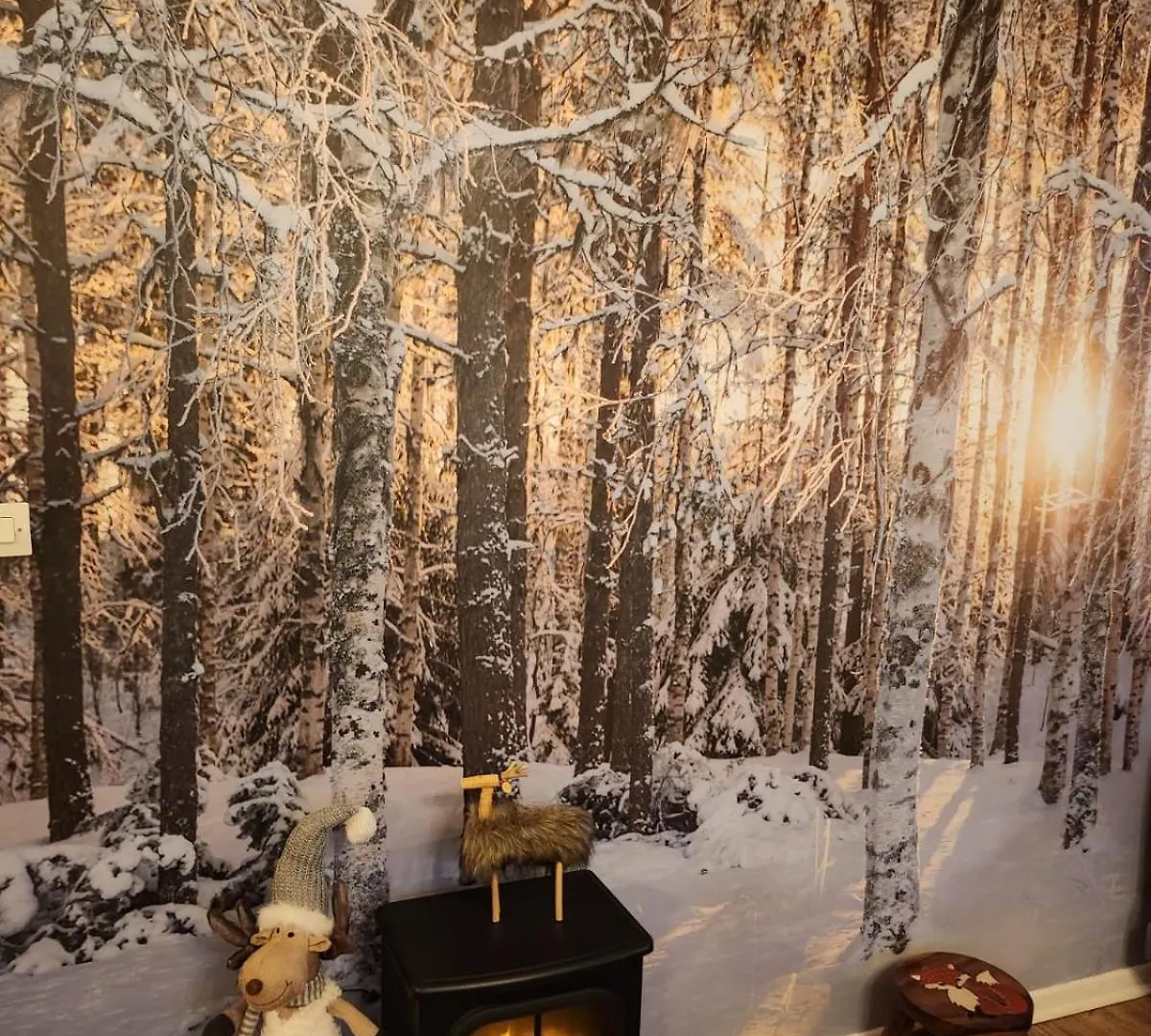 Greolieres Les Neiges Apartment France