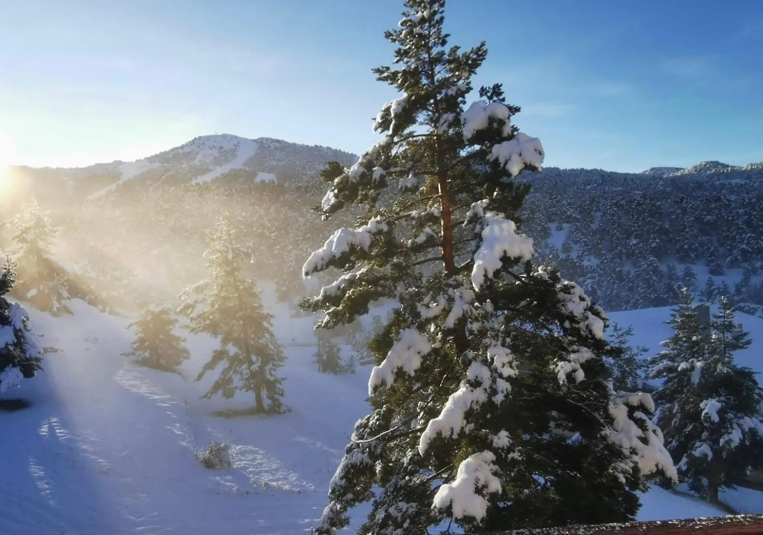 Greolieres Les Neiges Διαμέρισμα