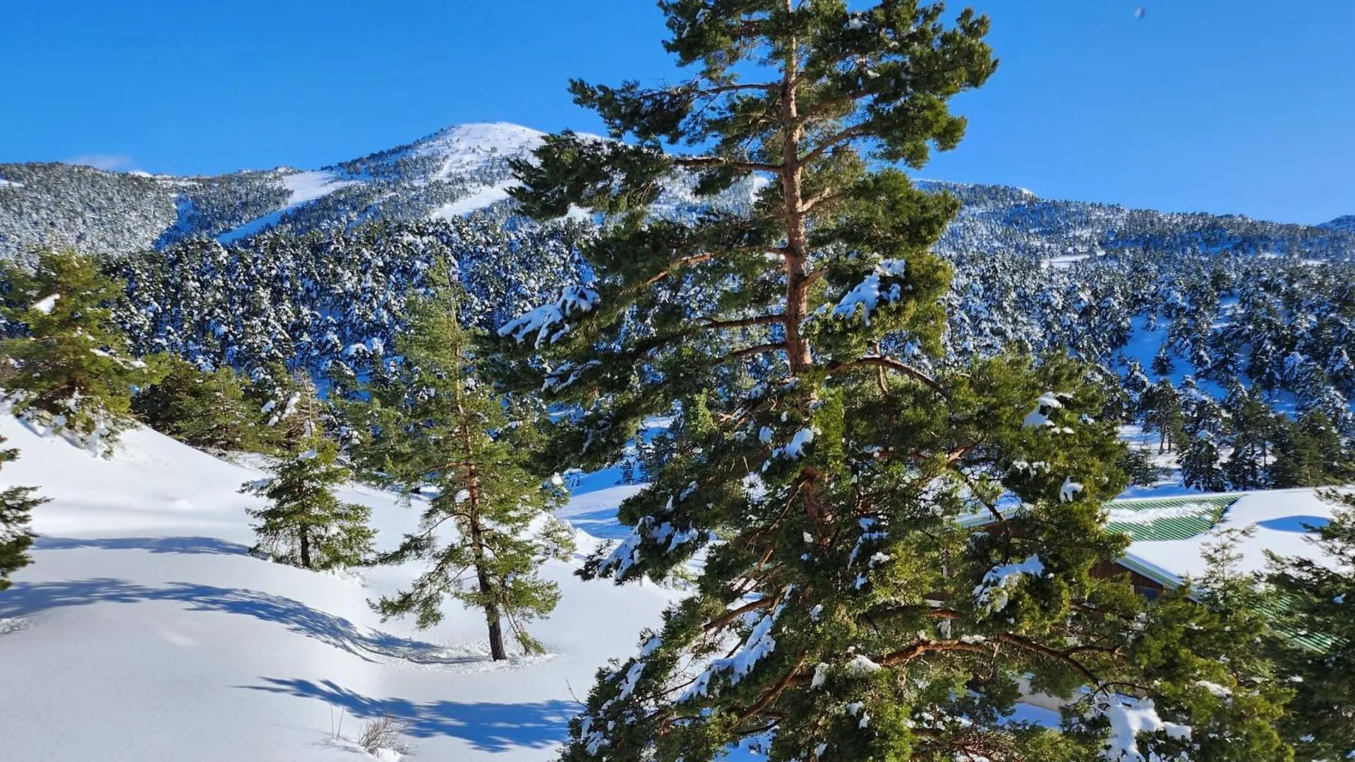 Greolieres Les Neiges Apartment France