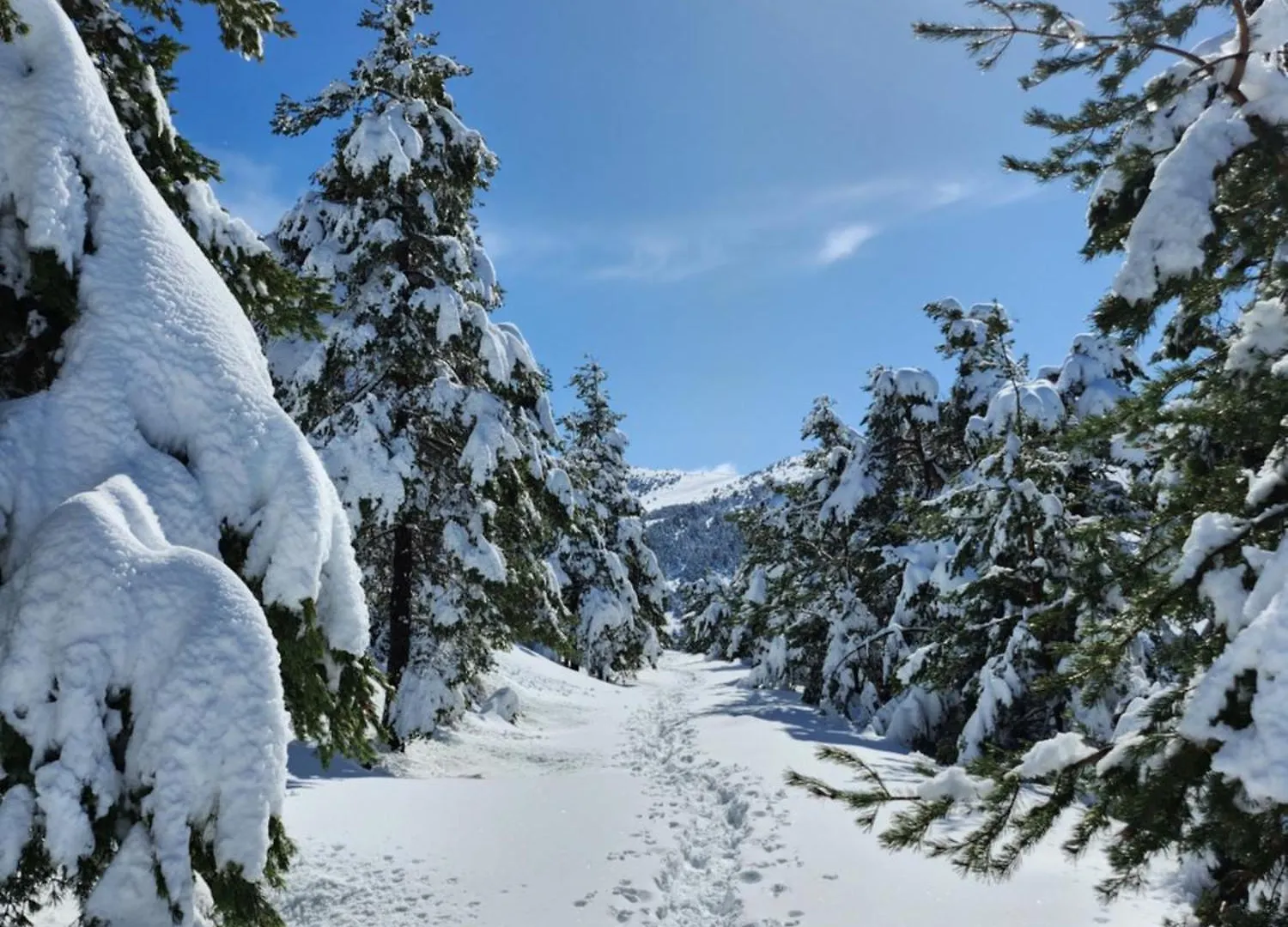 Greolieres Les Neiges Apartment