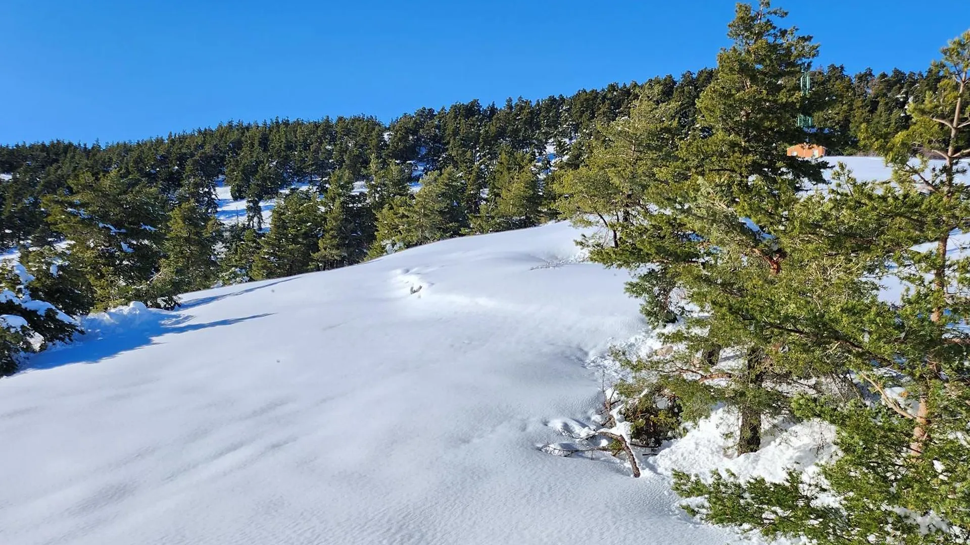 Greolieres Les Neiges location